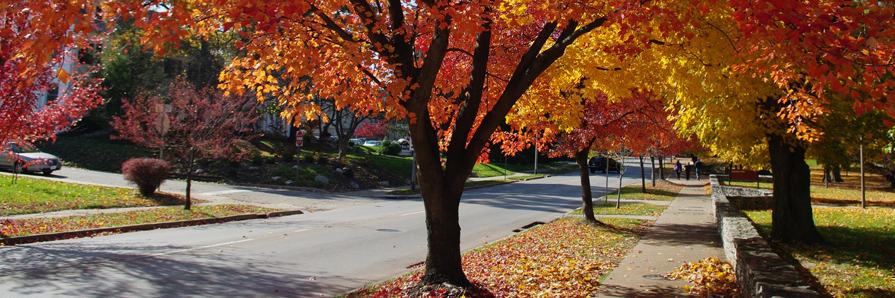 Credit: Steven W., free to use/share. Autumn at IU. https://www.flickr.com/photos/helloeveryone123/4099895746
